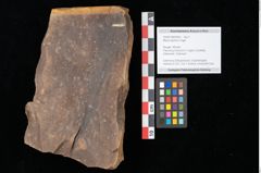 Foto (Objekt + Etikett) von Myrica lignitum Unger (NHMW-GEO-2024-0188-0555)